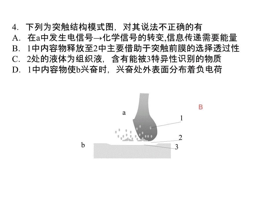 生物图表题结构图_第5页