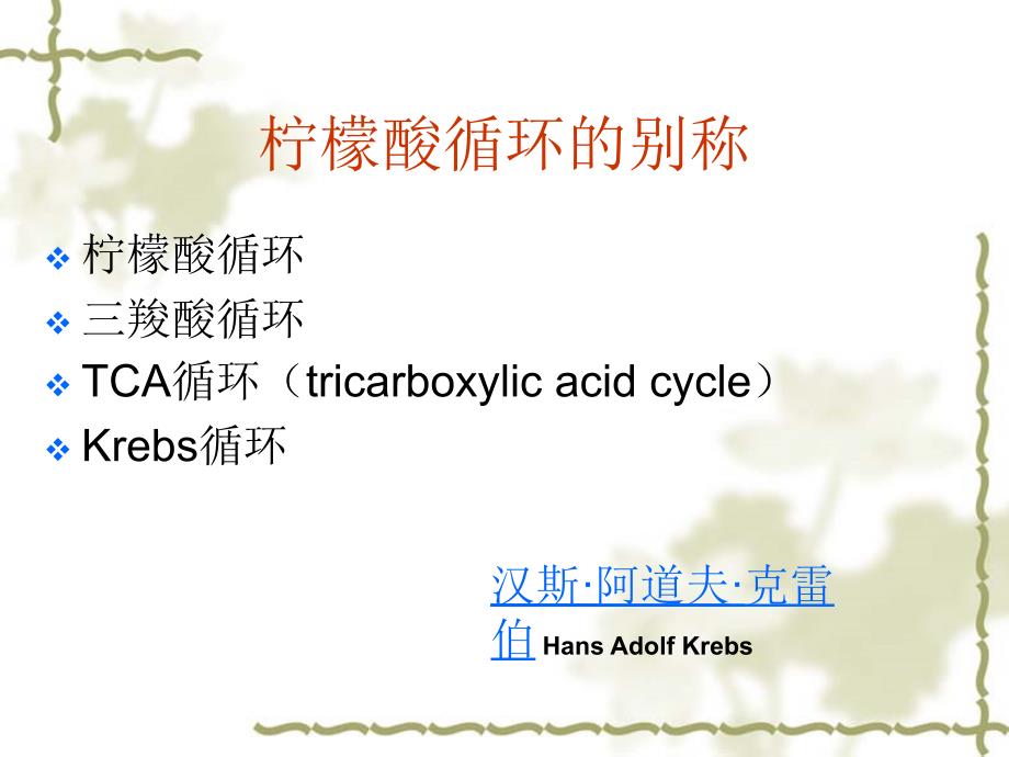 生物化学柠檬酸循环PPT课件_第2页