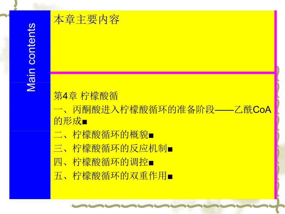 生物化学柠檬酸循环PPT课件_第3页