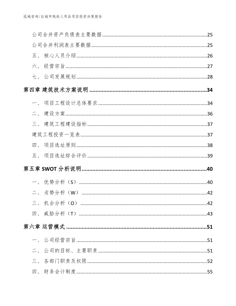 白城市残疾人用品项目投资决策报告_范文模板_第2页