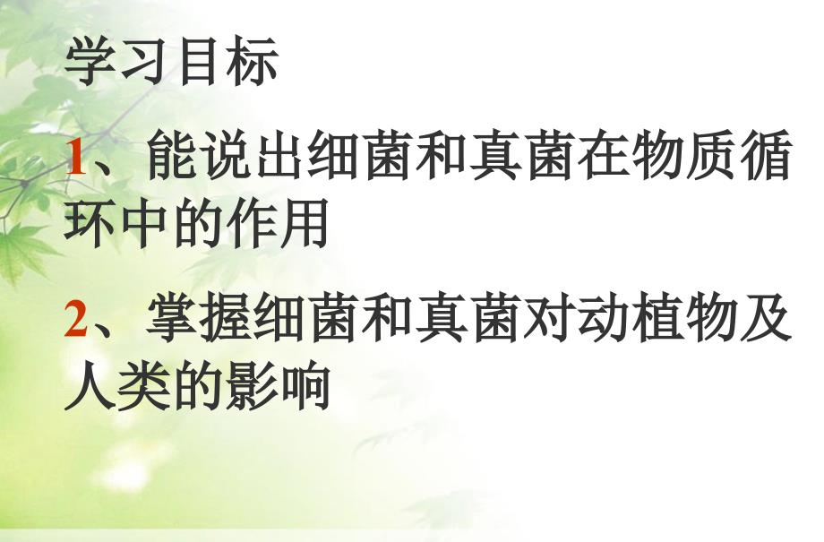 新人教版初二八年级生物上册新人教版初二八年级生物上册5.4.4细菌和真菌在自然界中的作用课件_第2页