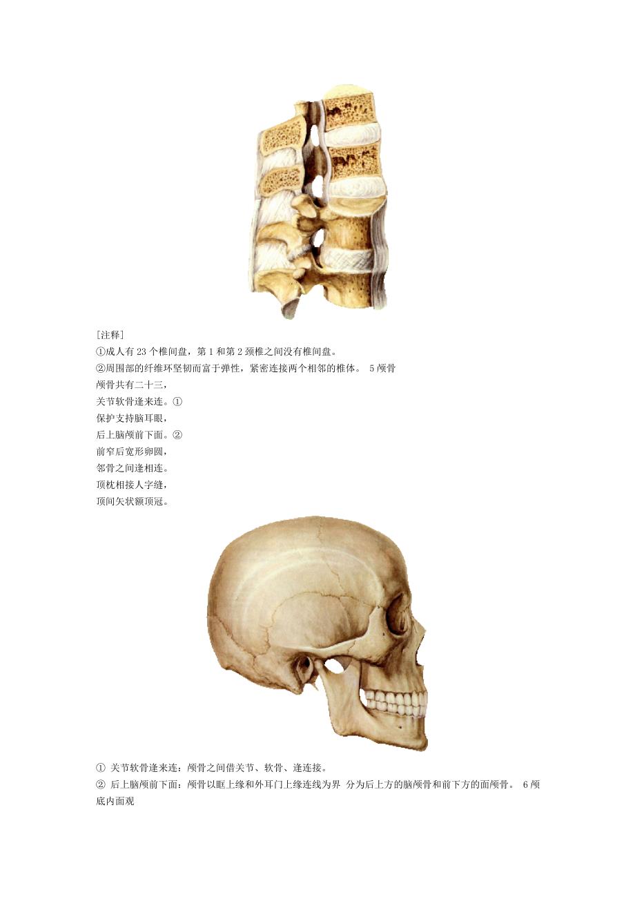 解剖歌诀26966.doc_第3页