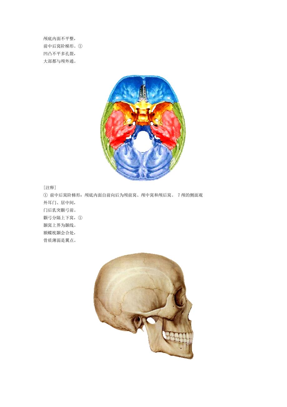 解剖歌诀26966.doc_第4页