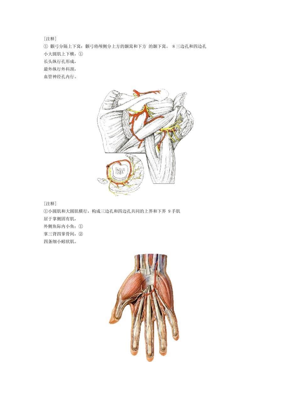 解剖歌诀26966.doc_第5页