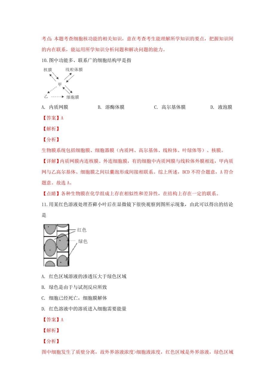 陕西省富平县2018-2019学年高一生物上学期期末考试试卷（含解析）.doc_第5页