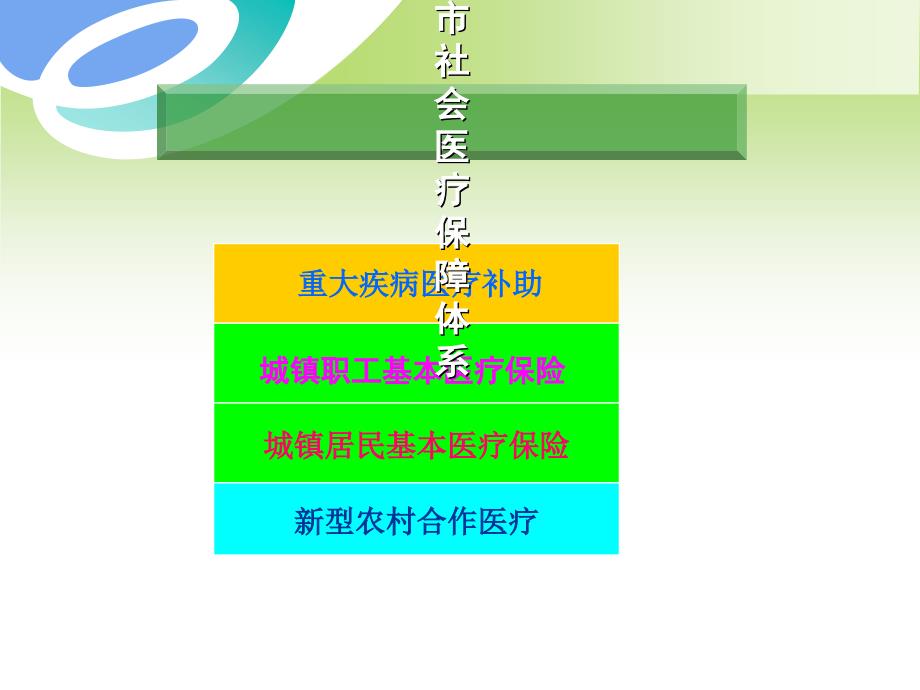 医保政策解读与实施细则_第4页