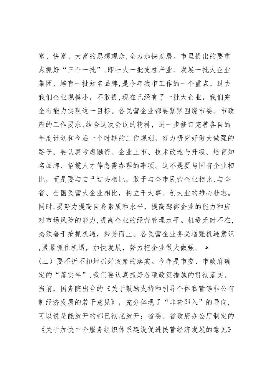 在全市民营经济工作会议上的总结讲话_第5页