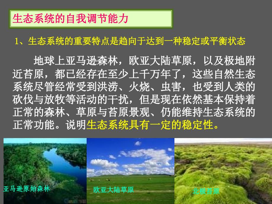 生物必修3课堂教学课件生态系统的稳定性课件_第3页