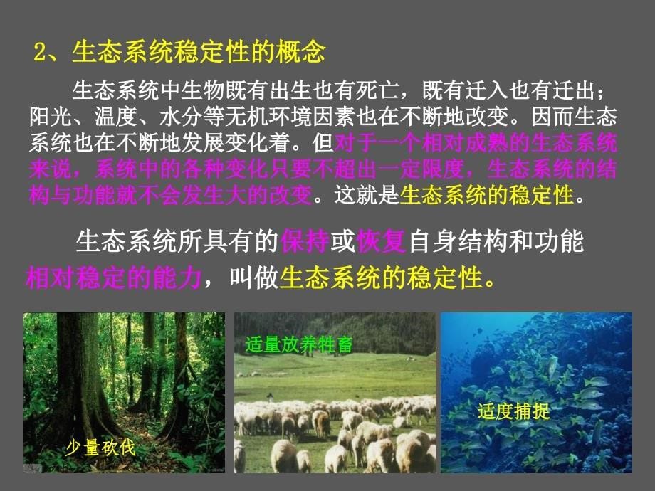 生物必修3课堂教学课件生态系统的稳定性课件_第5页