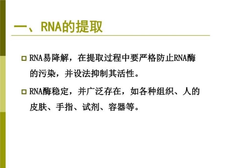 RNA病毒检测简述教程文件_第3页