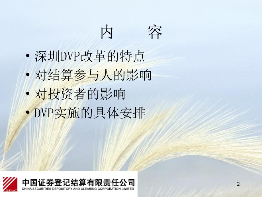 深圳DVP业务介绍课件_第2页