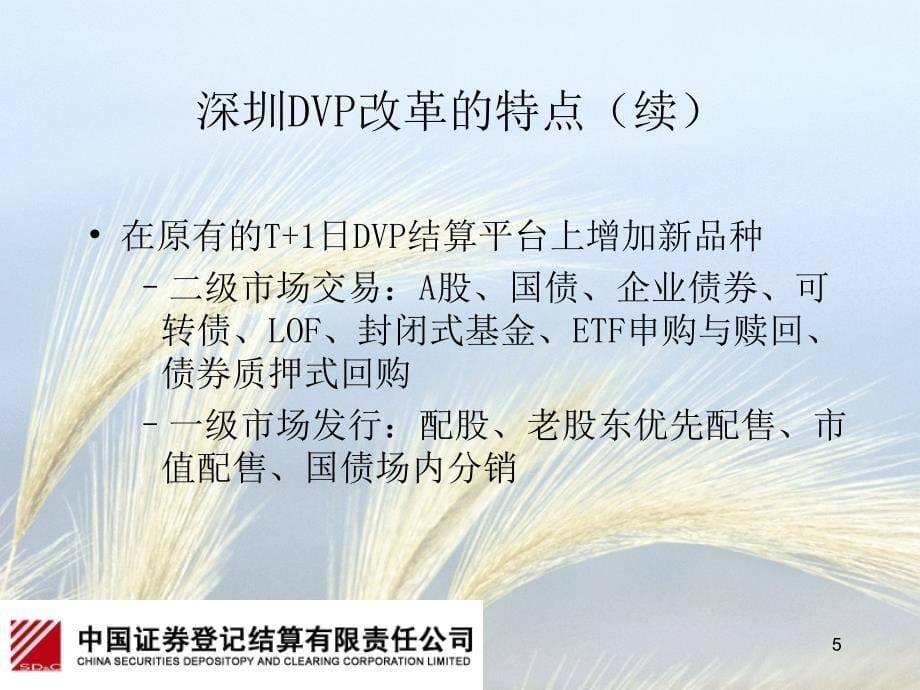 深圳DVP业务介绍课件_第5页