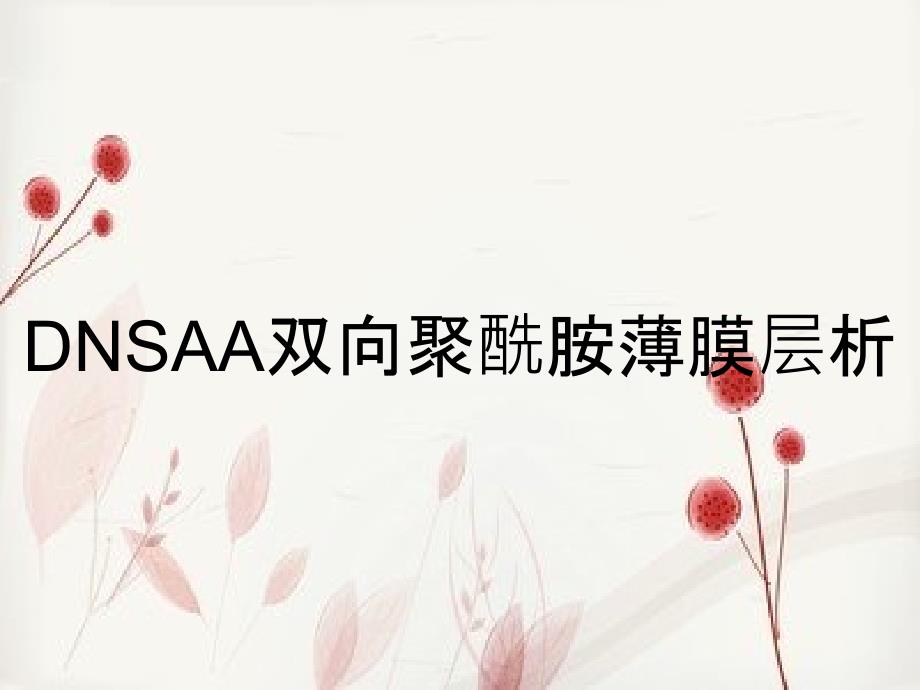 DNSAA双向聚酰胺薄膜层析_第1页