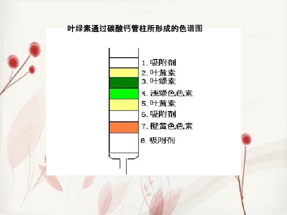 DNSAA双向聚酰胺薄膜层析_第3页