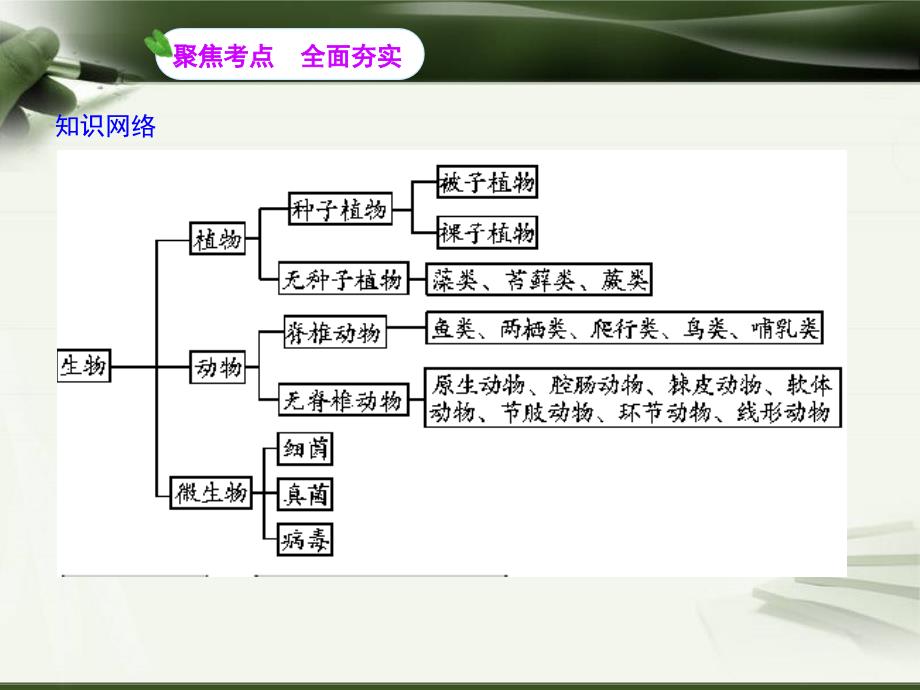 部分生命科学(第02讲各种各样的生物).ppt_第2页