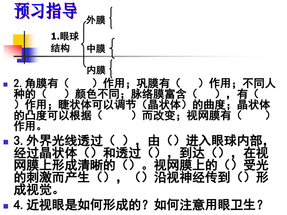 第三节眼与视觉_第4页