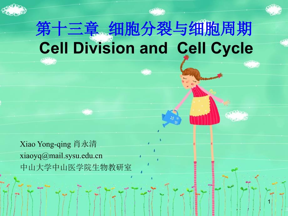 细胞分裂与细胞分裂课件_第1页