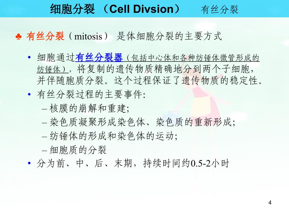 细胞分裂与细胞分裂课件_第4页