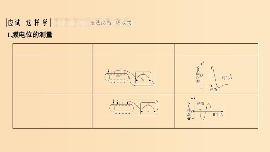 2019版高考生物大一轮复习第十单元生物群体的稳态与调节考点加强课5课件中图版必修3 .ppt_第5页