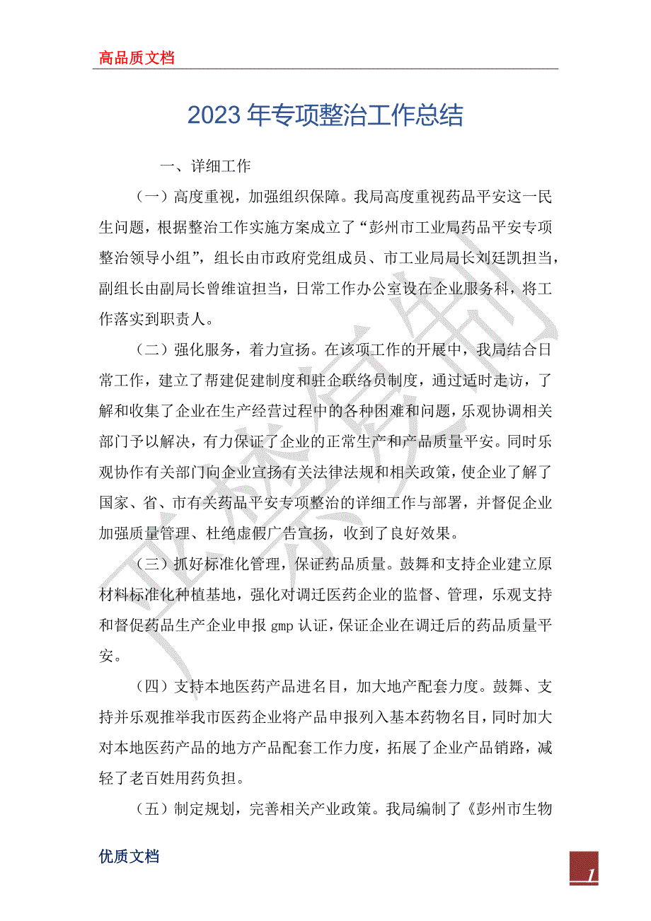 2023年专项整治工作总结_第1页