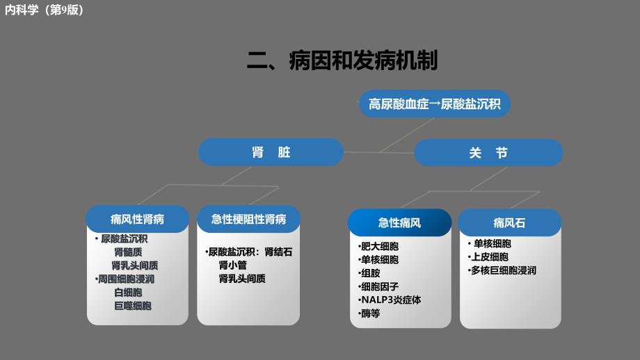 内科学（第9版）教学课件：第十四章 痛风_第4页