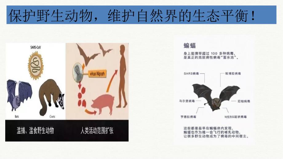 抗击疫情开学第一课主题班会课件.ppt_第3页