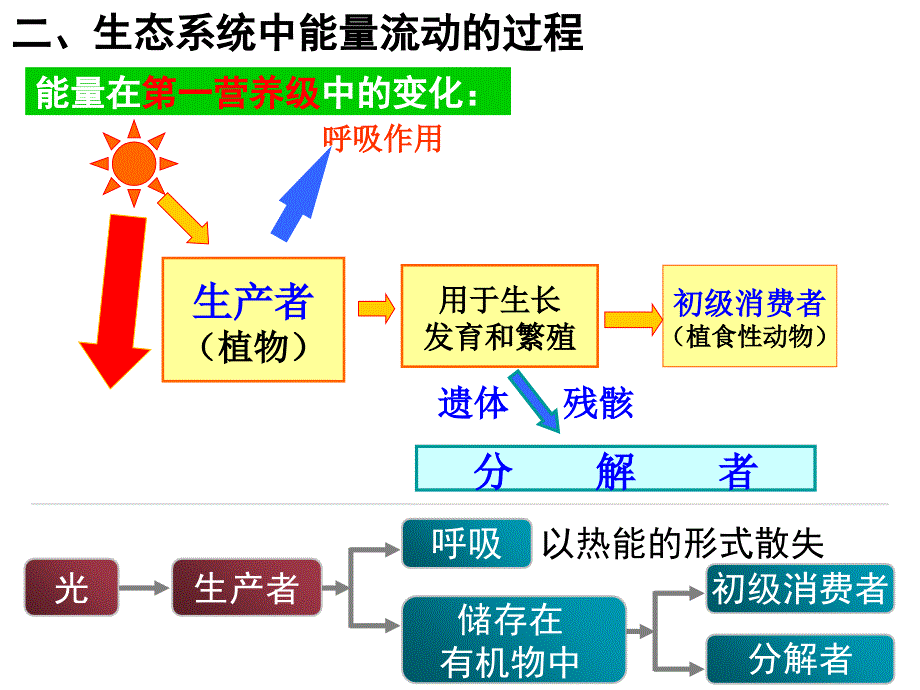 生态系统的三大功能_第3页