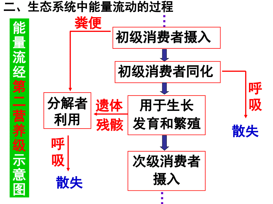 生态系统的三大功能_第4页