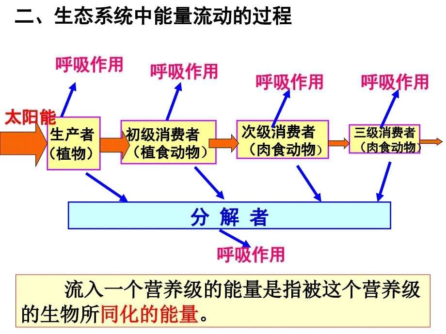 生态系统的三大功能_第5页