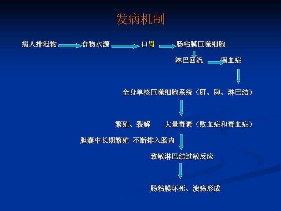 教学课件第15章传染病_第5页