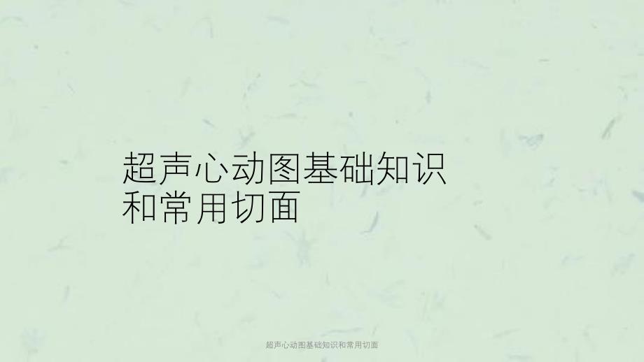 超声心动图基础知识和常用切面课件_第1页