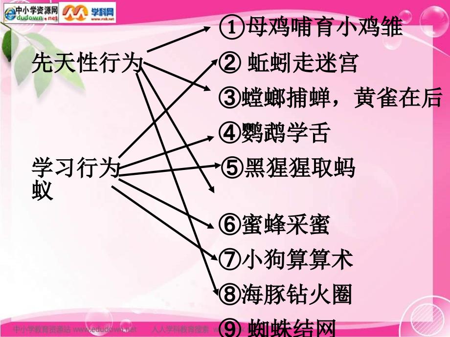 第二章第3节社会行为课件2_第3页