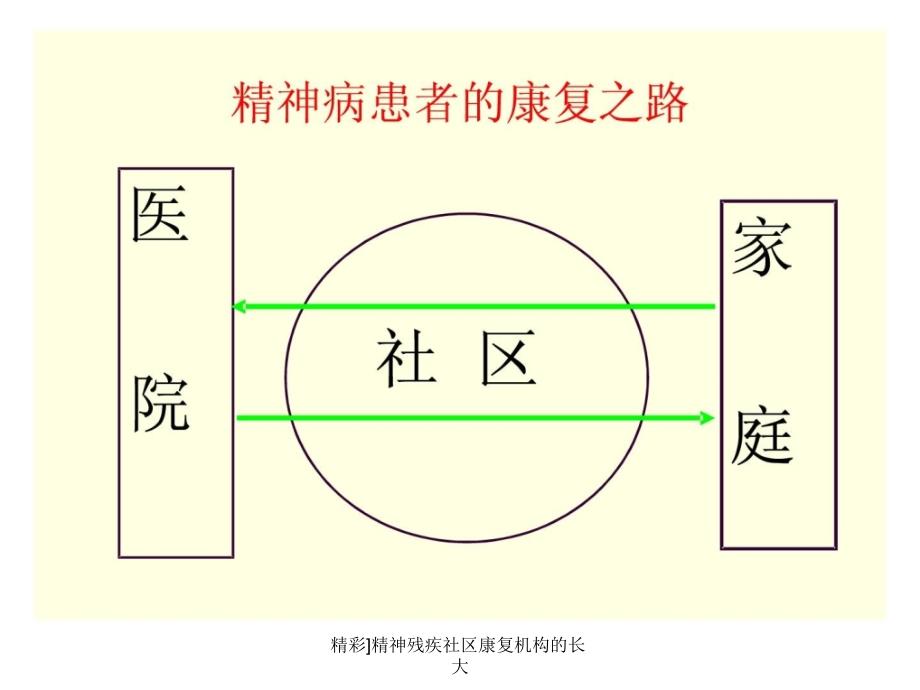 精彩精神残疾社区康复机构的长大课件_第3页