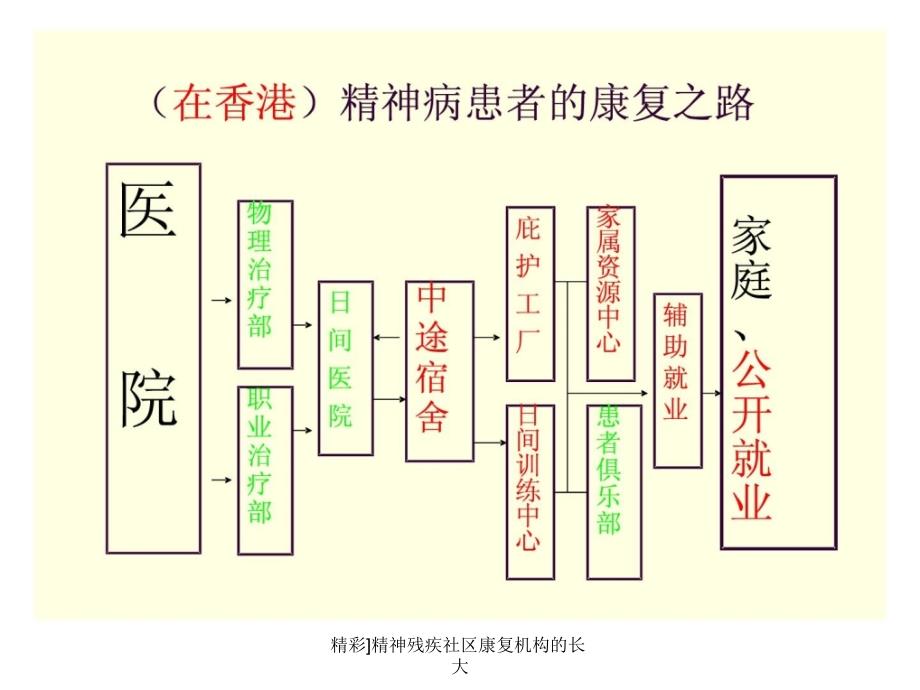 精彩精神残疾社区康复机构的长大课件_第4页