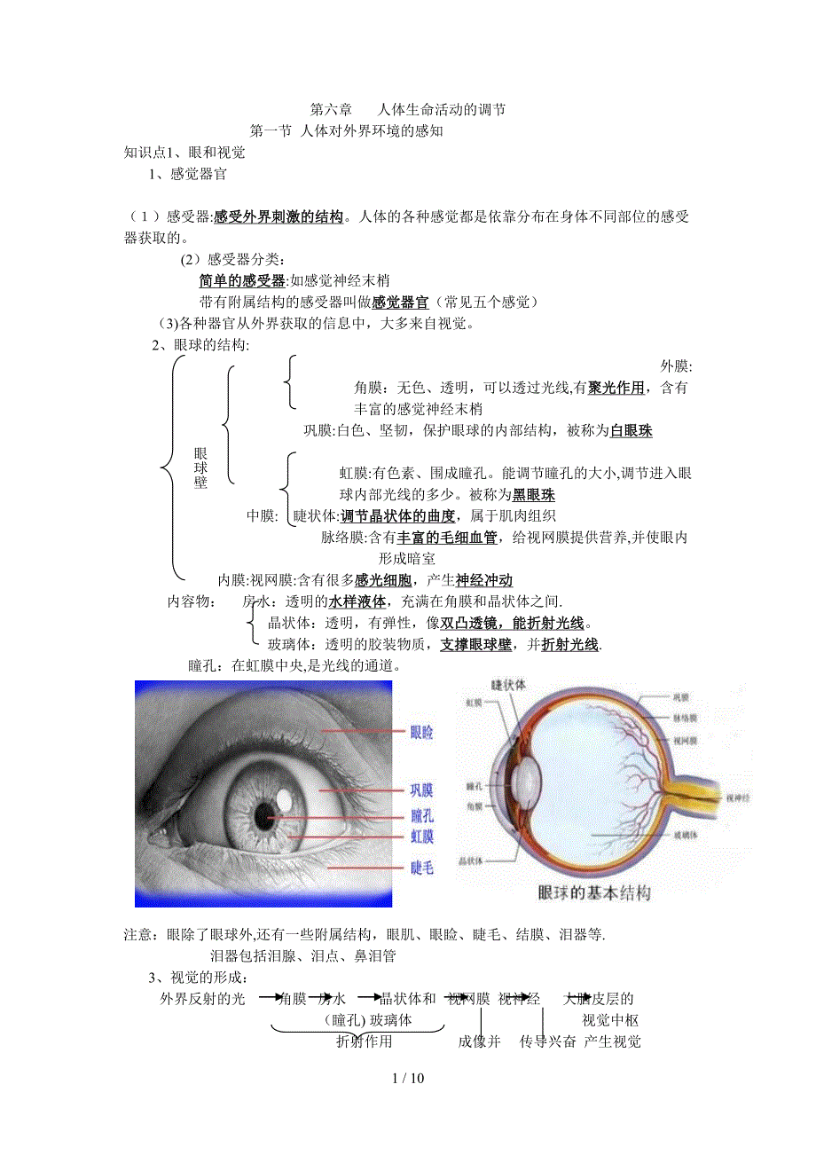 人体生命活动的调节知识点提纲_第1页