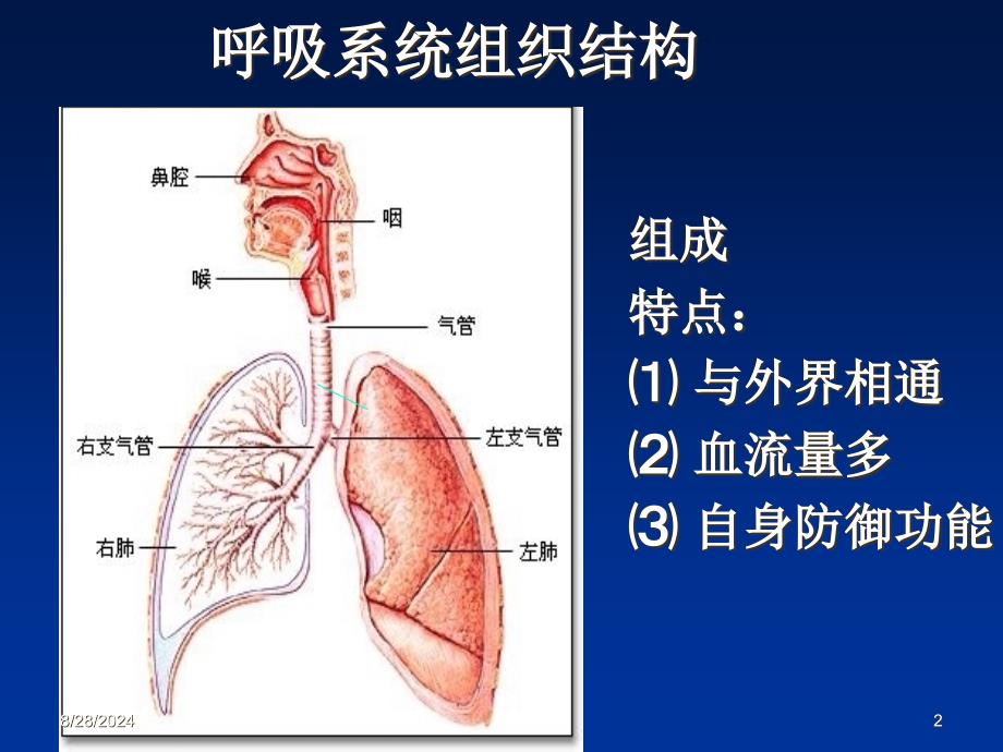 病理学：肺炎_第2页