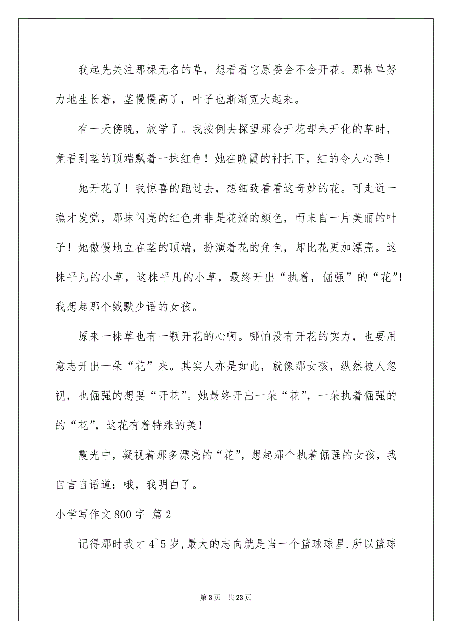 小学写作文800字汇总9篇_第3页