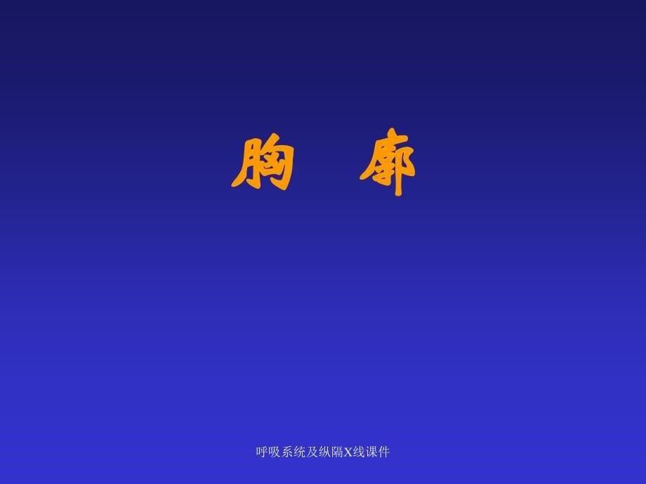 呼吸系统及纵隔X线课件_第5页