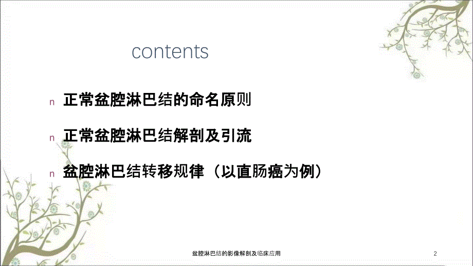 盆腔淋巴结的影像解剖及临床应用_第2页