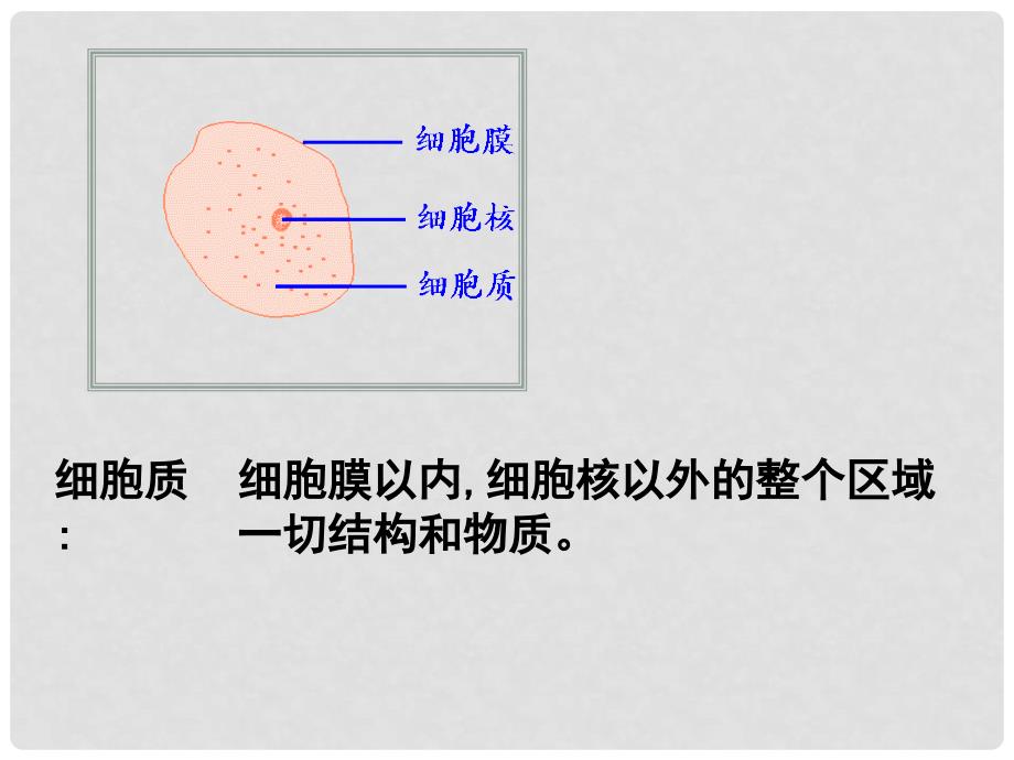 高中生物《细胞质》课件5 浙科版必修1_第2页