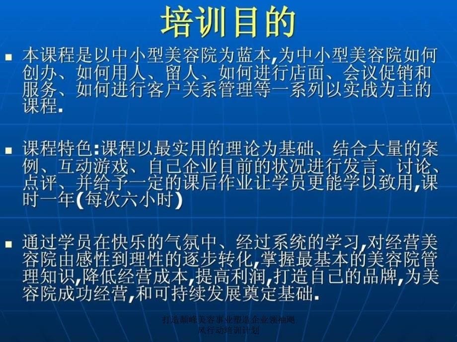 打造颠峰美容事业塑造企业领袖飓风行动培训计划课件_第5页