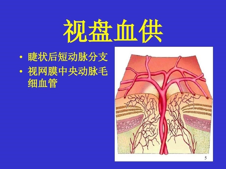 眼底血管荧光造影_第5页