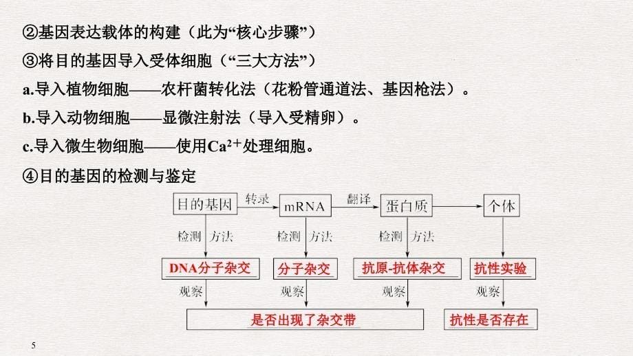 高考生物一轮复习 阶段排查 回扣落实（九）课件_第5页