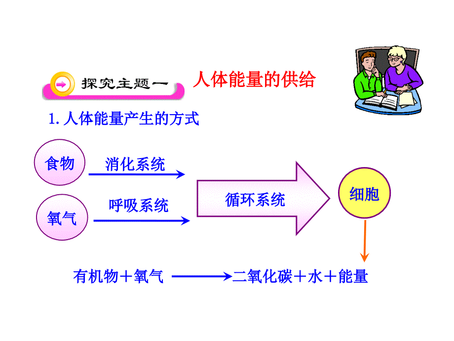 第10章第五节人体能量的供给（苏教版七年级下）_第4页