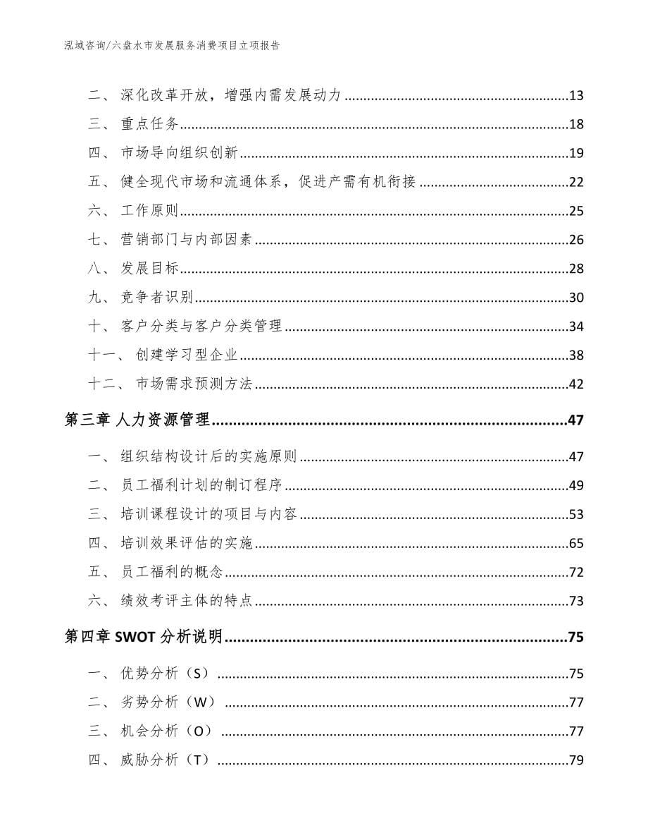 六盘水市发展服务消费项目立项报告_第5页