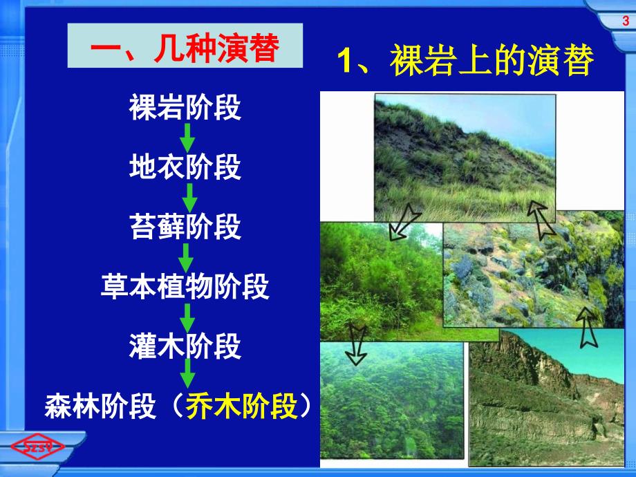 人教版教学课件浙江省温州市龙湾中学高中生物必修三群落演替课件_第3页