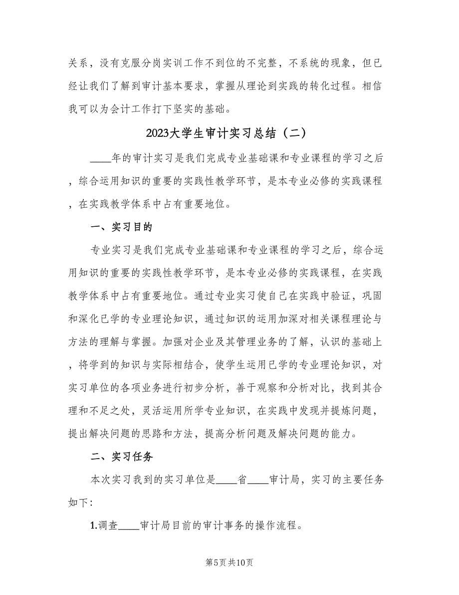 2023大学生审计实习总结（3篇）.doc_第5页