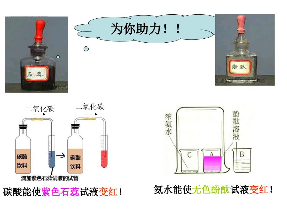 第一节对酸和碱的初步认识_第4页