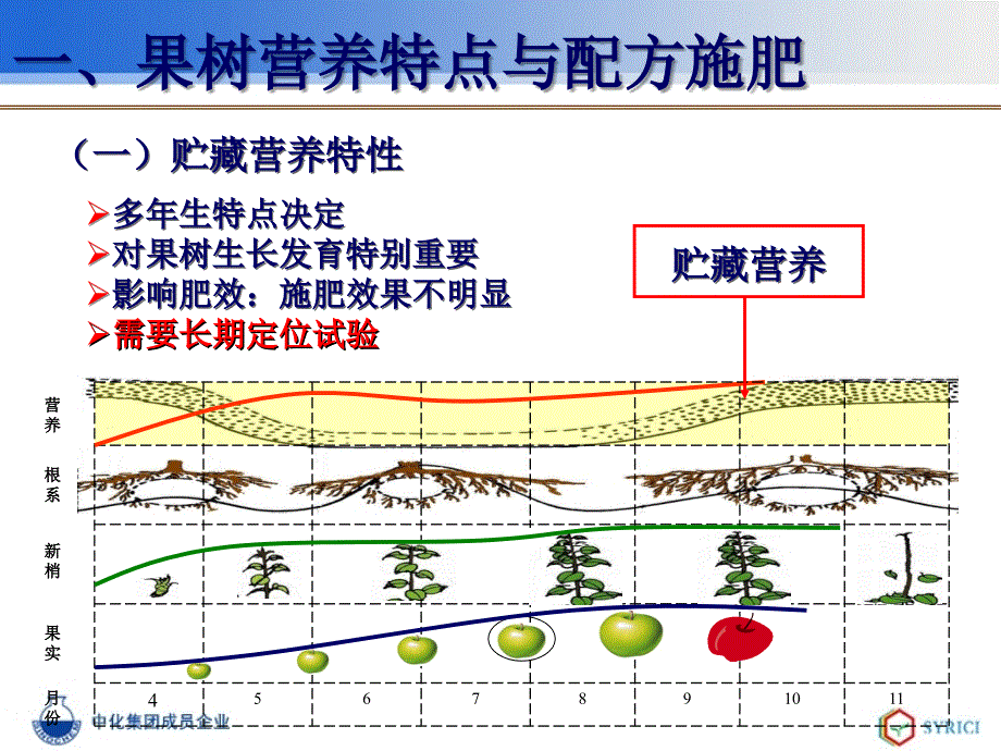 山东烟台苹果的施肥方案知识探索_第3页