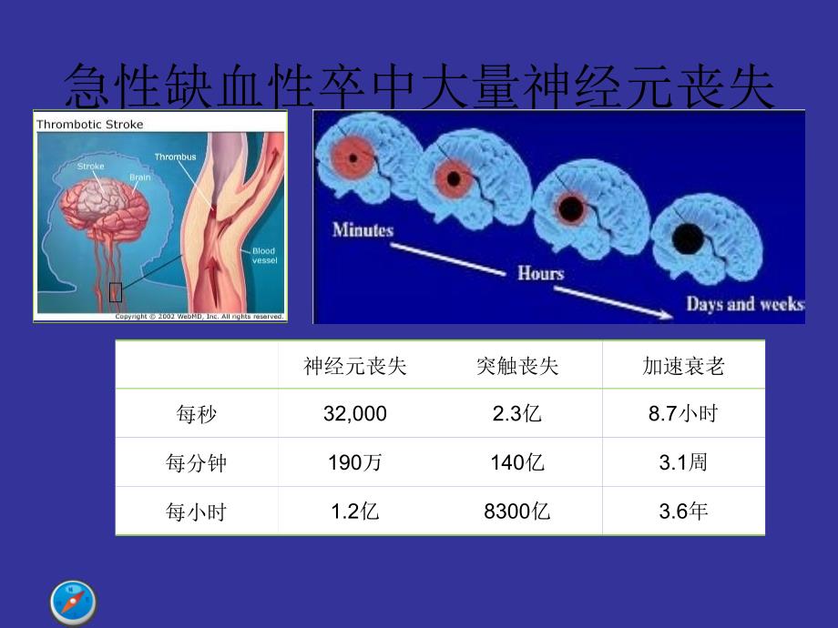 中国急性缺血性脑卒中诊治指南古城_第3页